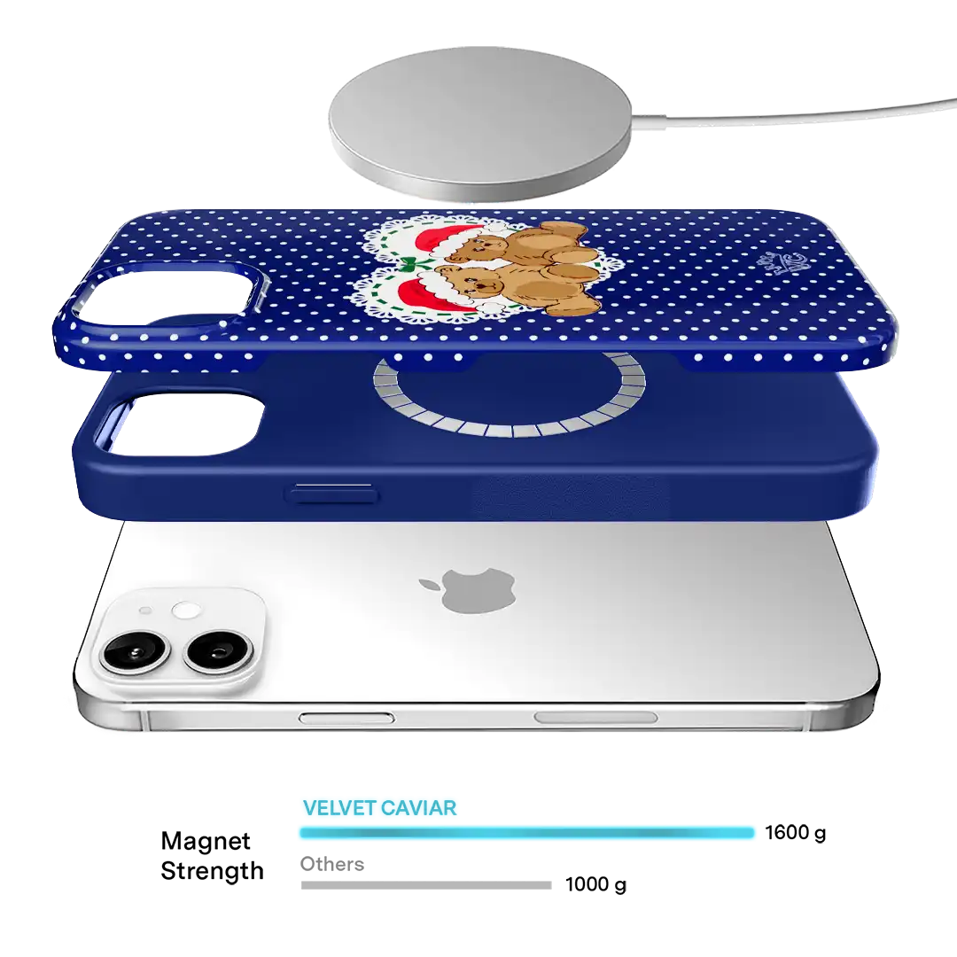 Winter Teddy iPhone Case