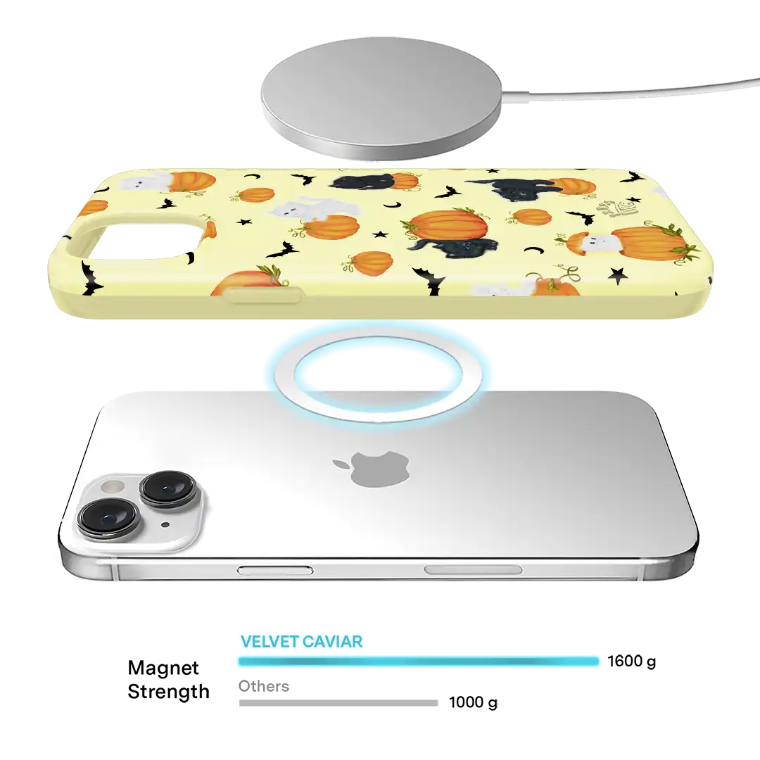 Purrfect Pumpkins iPhone Case