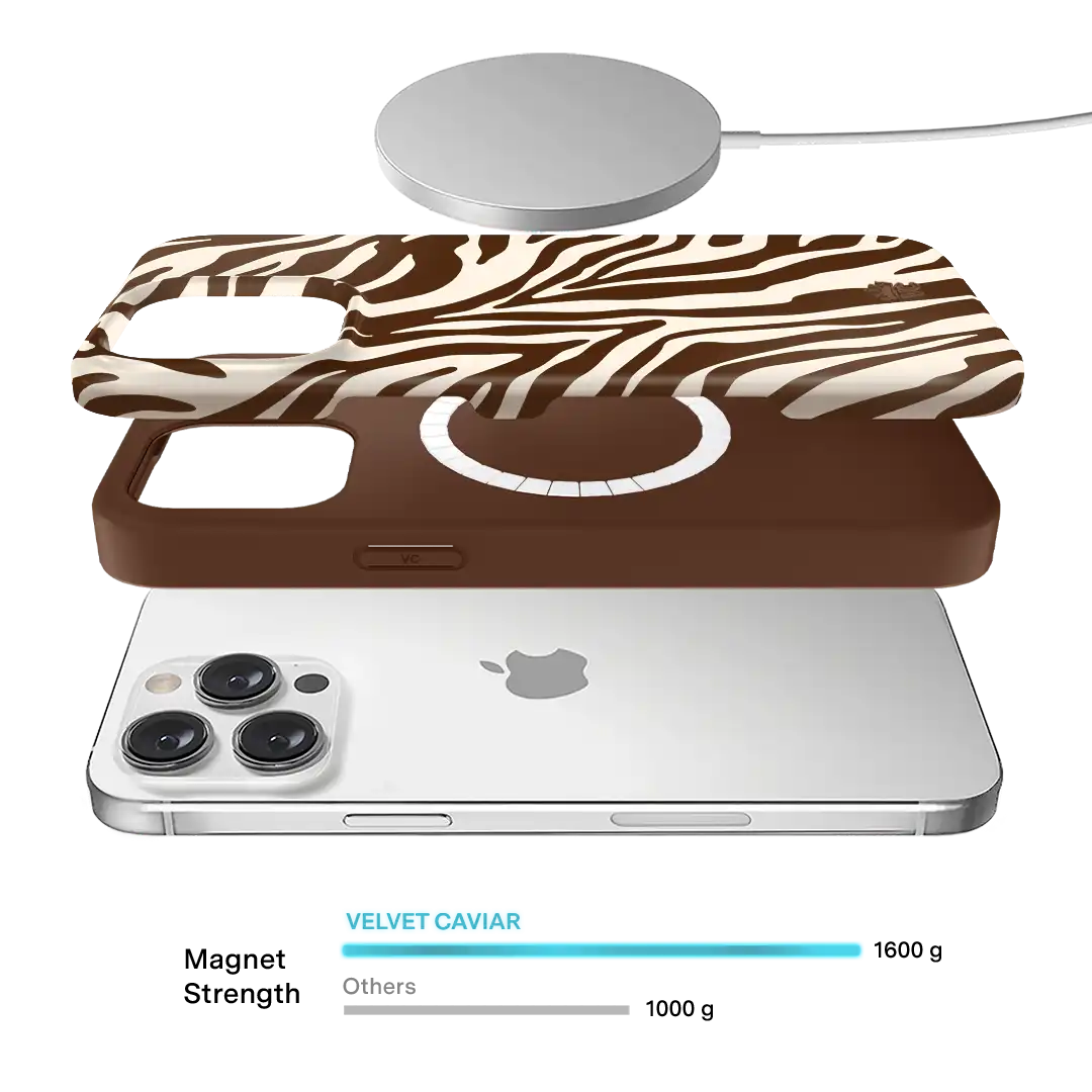 Coco Zebra iPhone Case