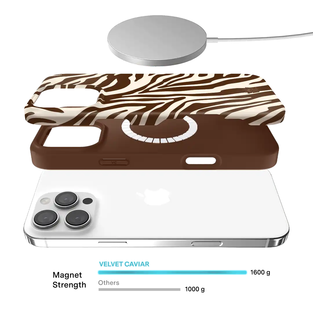 Coco Zebra iPhone Case