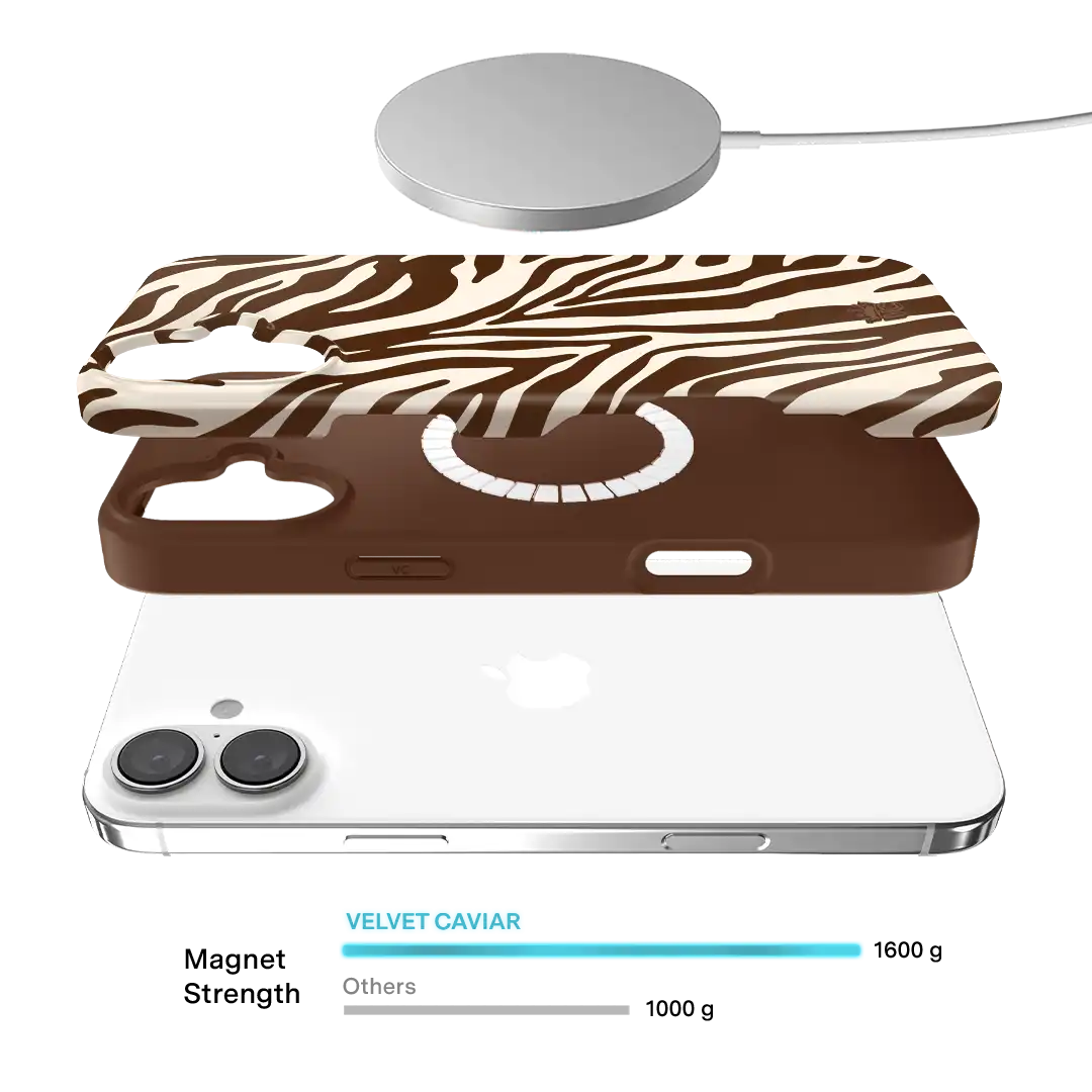 Coco Zebra iPhone Case