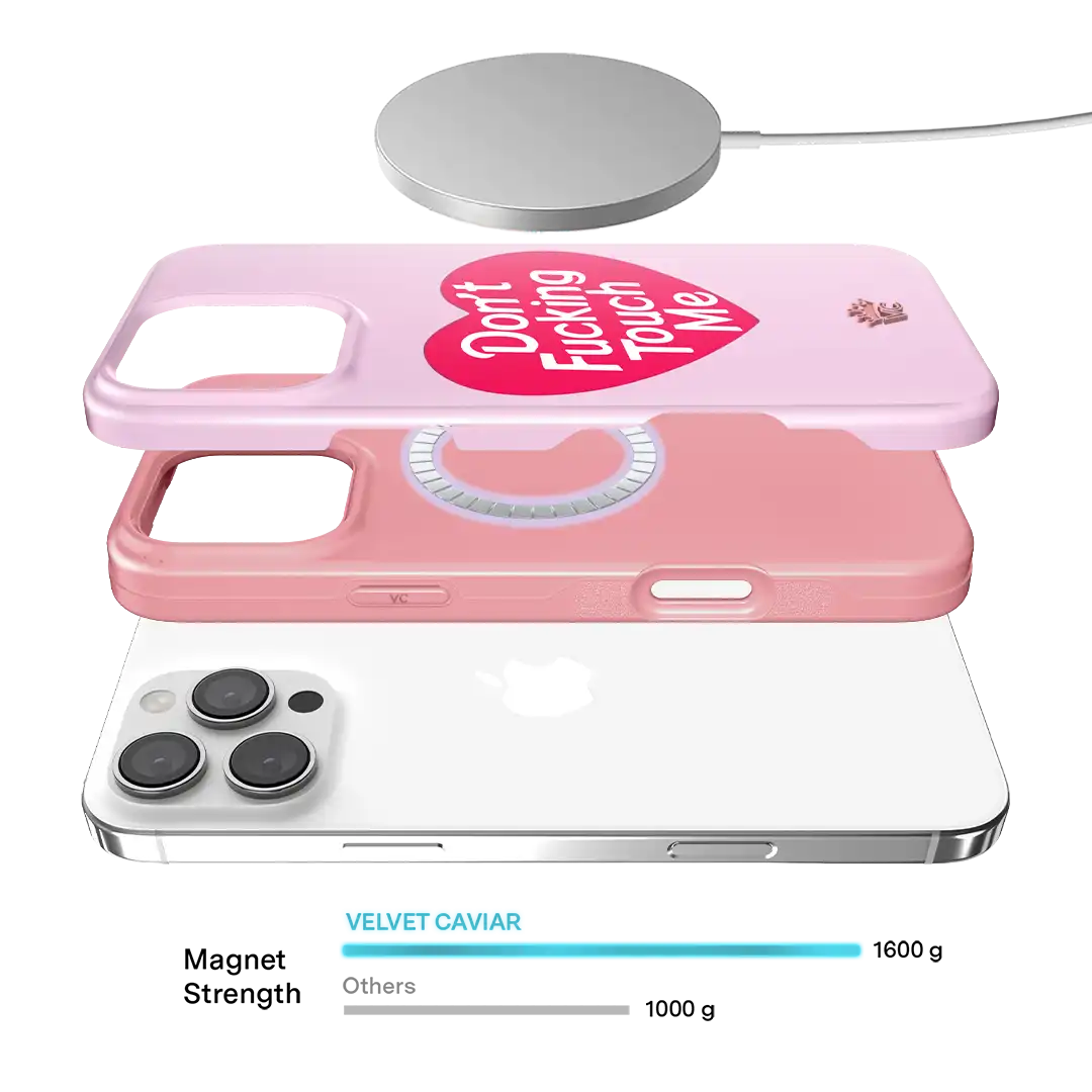 Don't F Touch Me iPhone Case