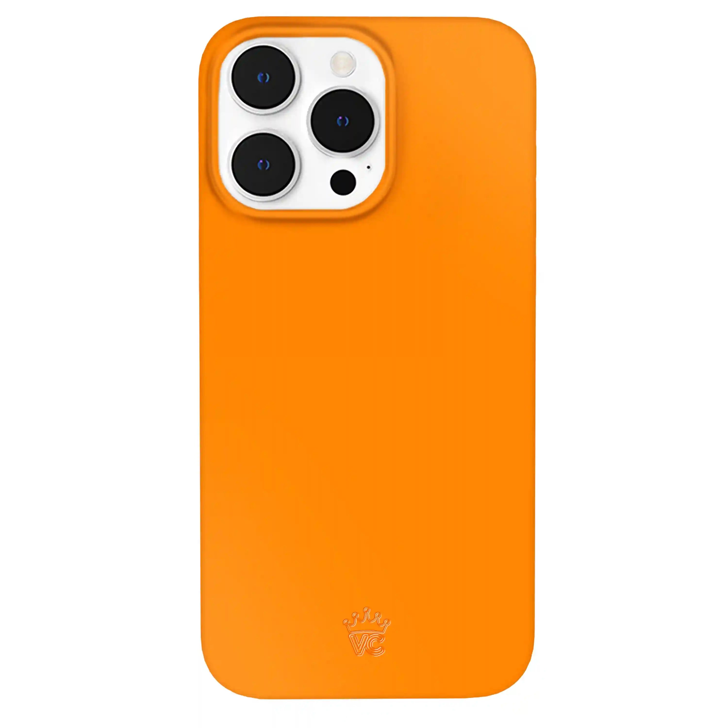 Pumpkin Spice Orange iPhone Case