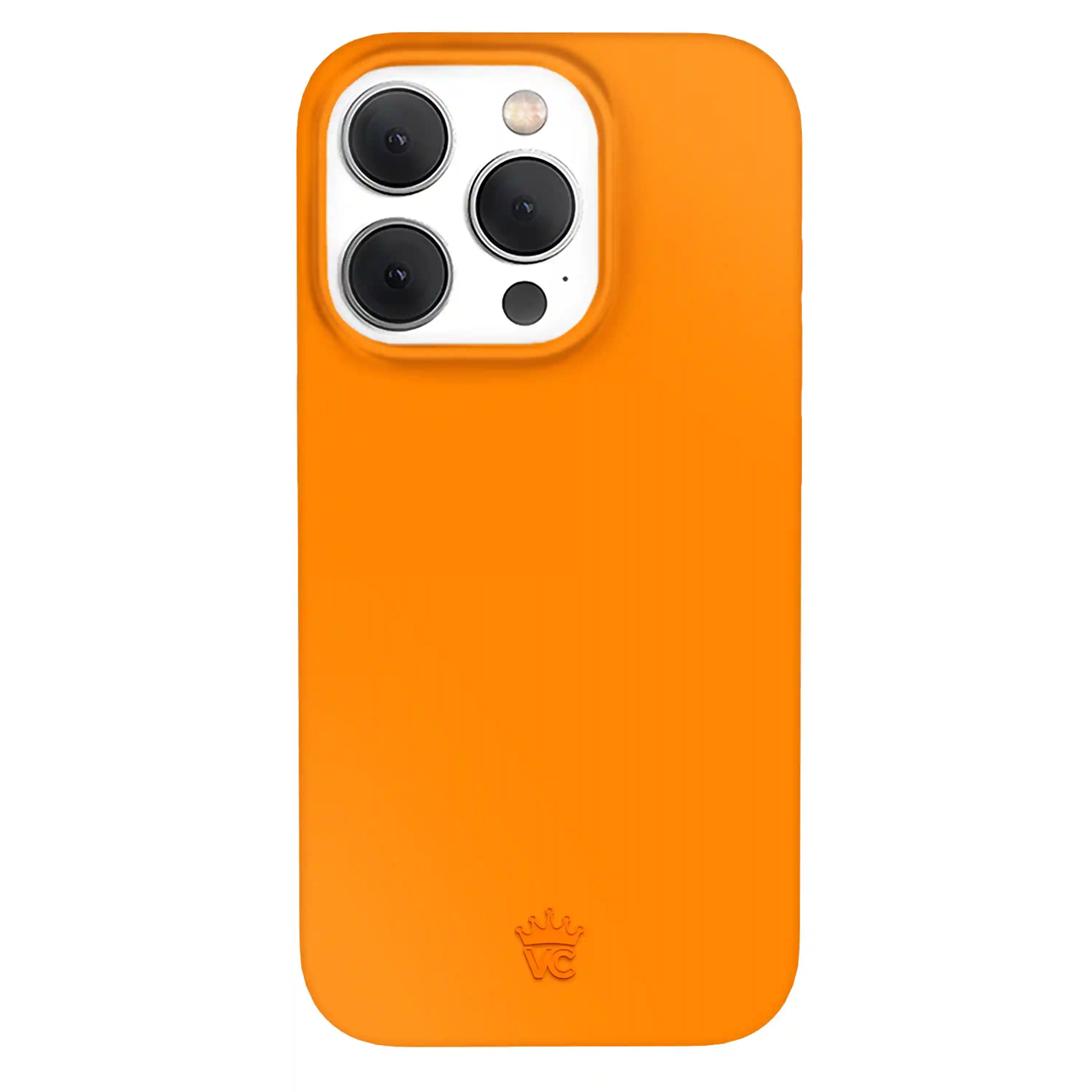 Pumpkin Spice Orange iPhone Case